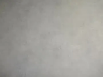 shanelfun