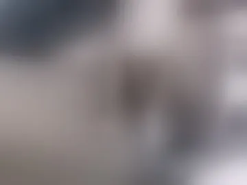 shaniek