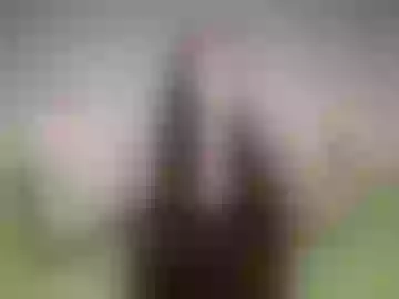sharanappeling