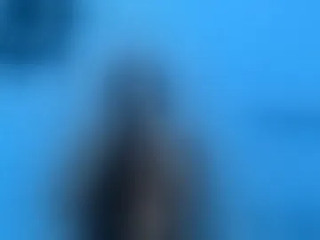 sheilacanela457