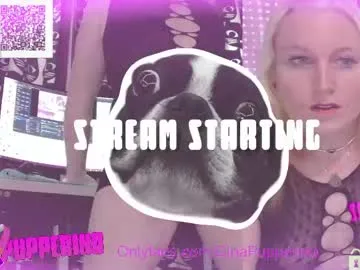 shesborked