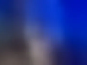 sielewonowskisali