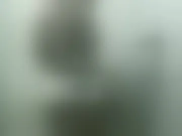 silva_rio