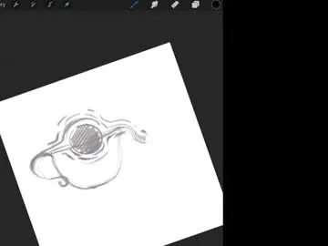 singularitea00