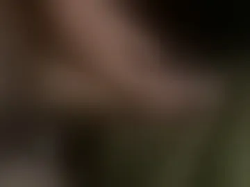 sir_bustanutt
