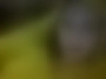 smittenpikachuu
