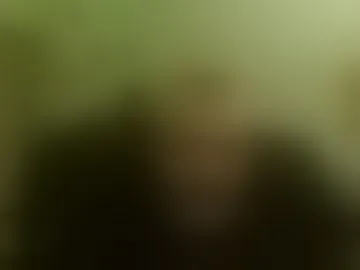 sonoboris
