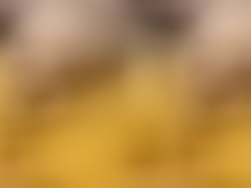 squirtl337