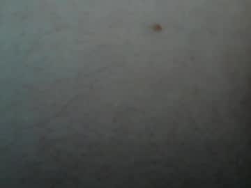 starguy800