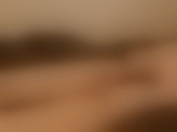 stephfayex