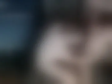 stexxxen5000