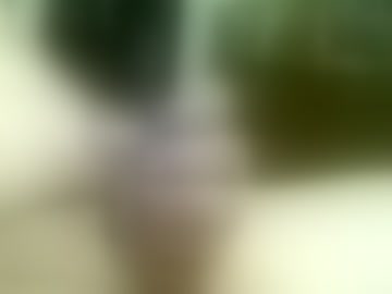 stoneguy56