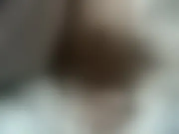 studpupbcbottom