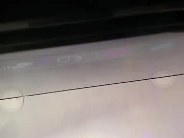 sweetbloomcs
