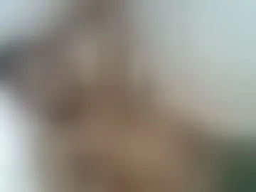 sweetsex550063