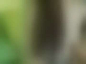 tameangirl