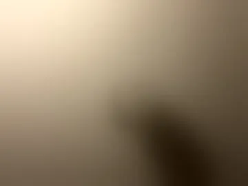 tastytexas24