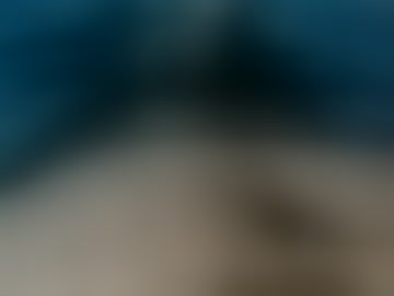 teluguboy28