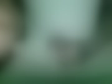 thcwhtdic