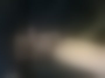 thecasanova66