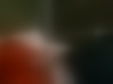 theheatv1