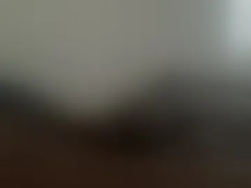 thetorrepapi