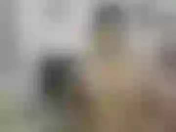 thomas_hot369