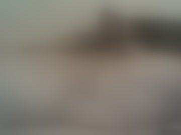toneyrebel13