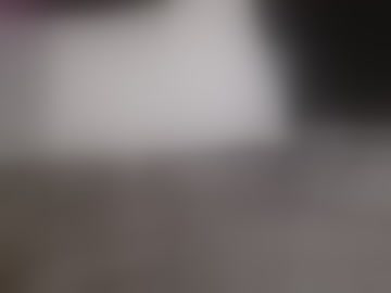 traviswylde19