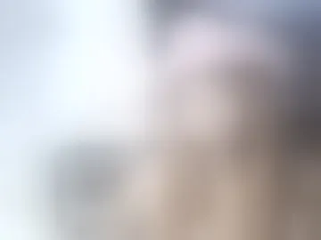 trippilandzx