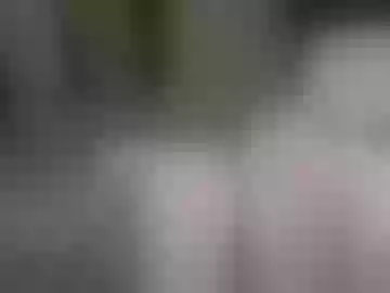 tsabrina29