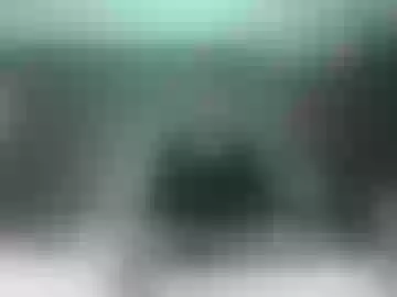 valentino_vega