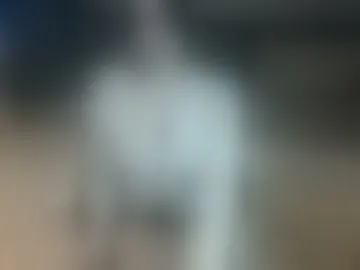 venera_mon