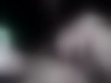 vergonelpaisa