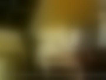 veronicatv29