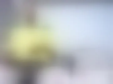 vinzent_lafed_