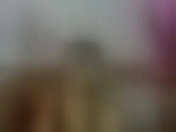 violetavelvet11