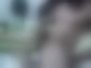 vnsbrazilian