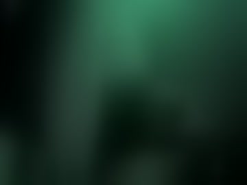 vyxen_69420