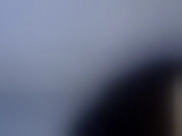 wen_28