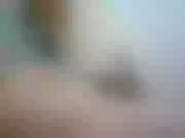 white8incock69