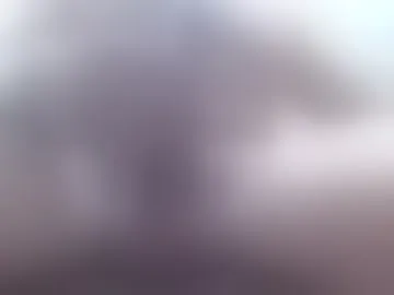 whoanelly0