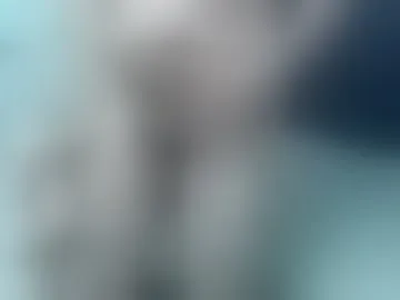 williamandelizabeth