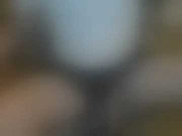 willyfit