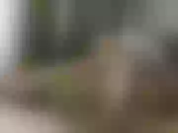 wmty69