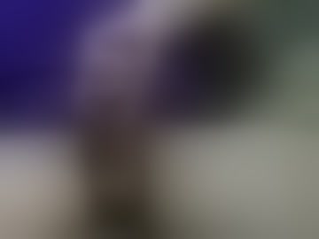 xxxbigdogxxx194585