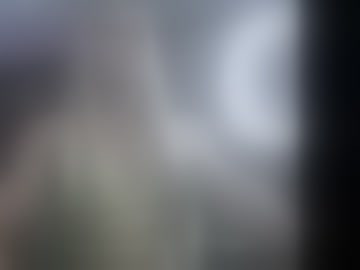 zenluxxe