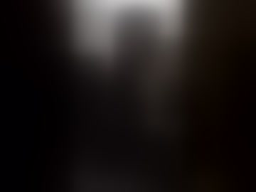 zinzux
