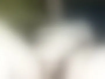 znkdslv