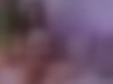 zyvelisse